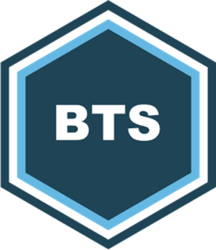 BTS petit logo.png